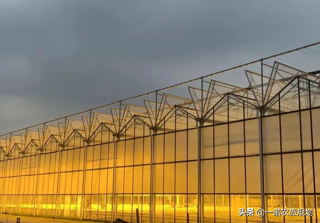 农业科技创新，乡村振兴战略的重要抓手