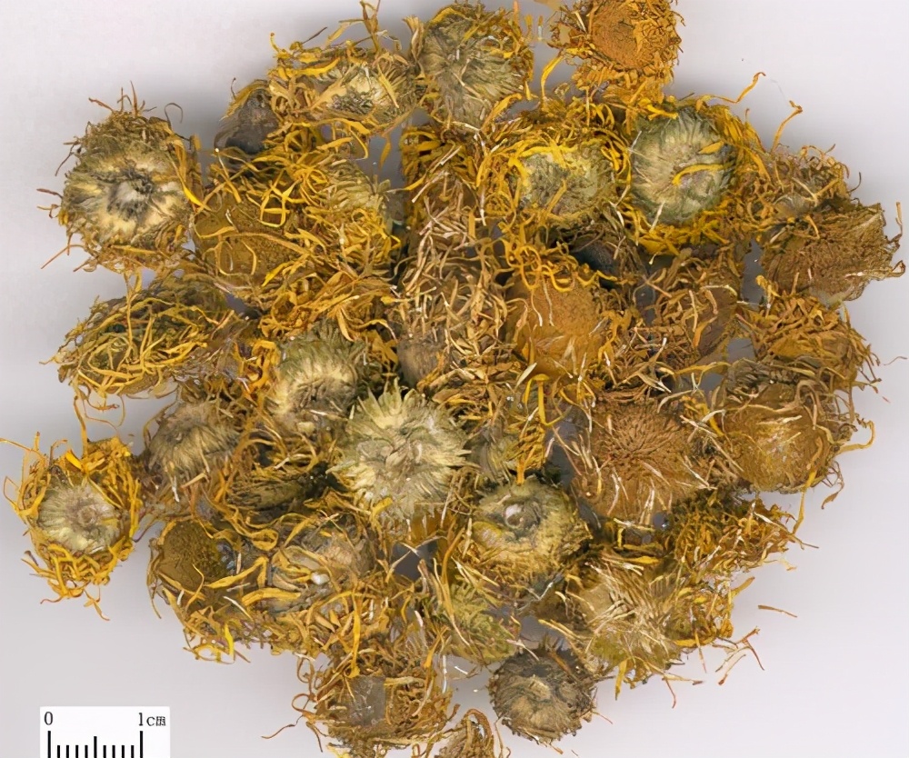 旋覆花对肝脏的功效（现代药理6个作用与临床新用）