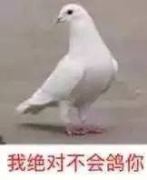 斗图表情包：哈哈怕了吧