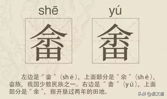 看到这些汉字，我感觉自己的语文白学了