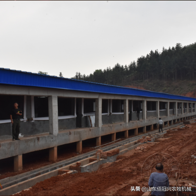 新建猪场这些规划设计要点是关键,快来掌握吧