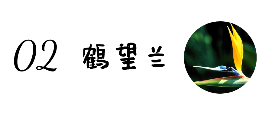 朋友搬家送什么礼物好 乔迁新居送什么（朋友搬家送什么礼物好实用）
