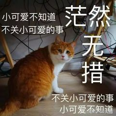 视频音频提取方法：如何从视频文件中分离并导出音频轨道