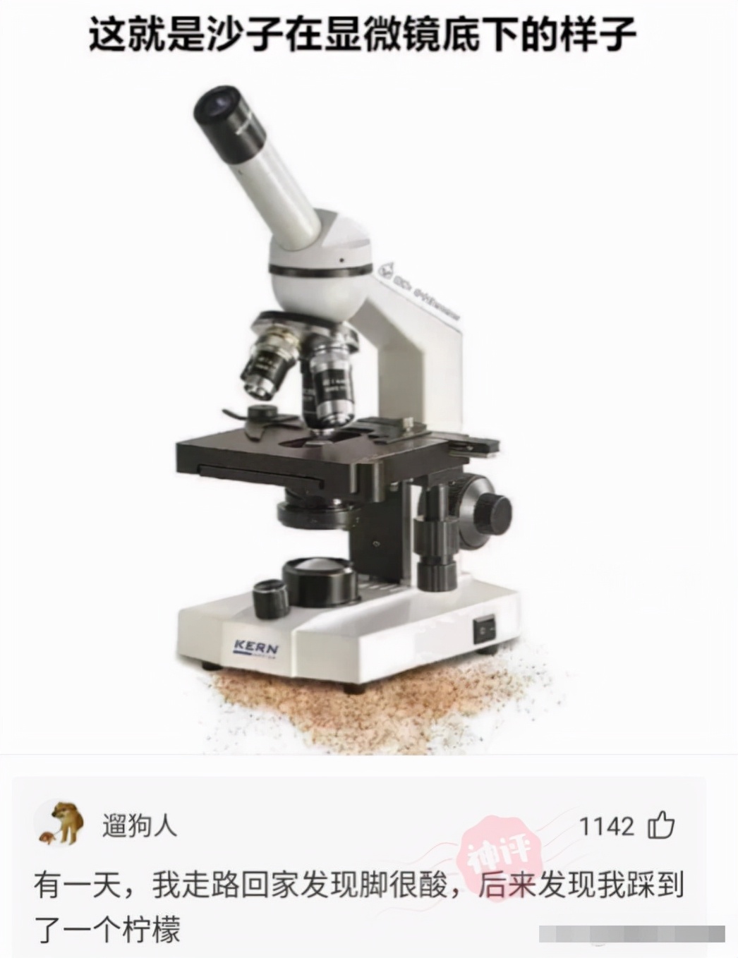 “旁边的女同事穿成这样，有点过分了啊！”玩够评论笑得肚子疼