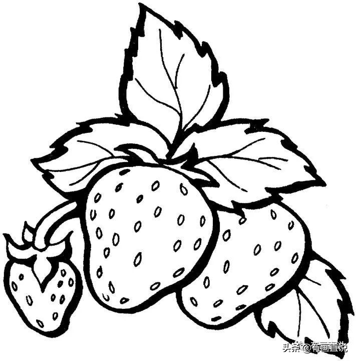 儿童画简笔画临摹素材52张：水果系列画法，收藏备用，在家学画画