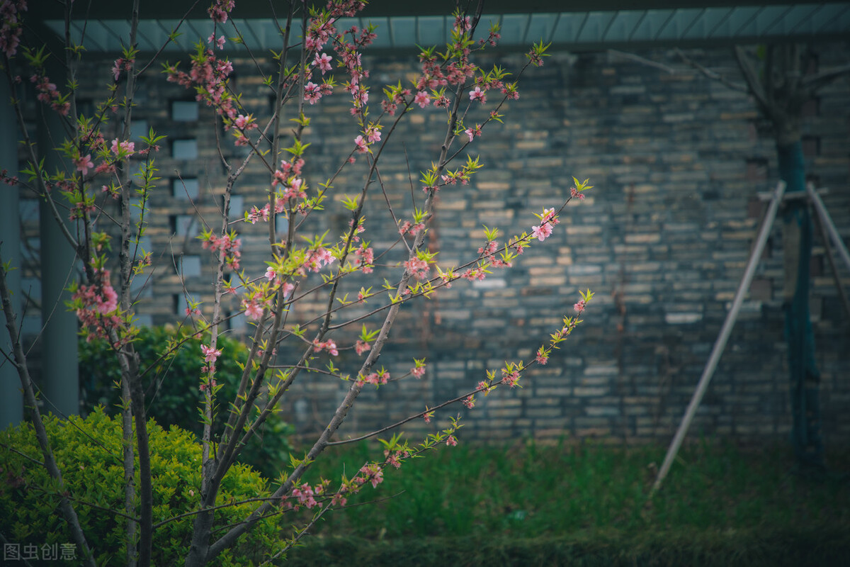 历经磨难，大器晚成，他是如何走上写作之路