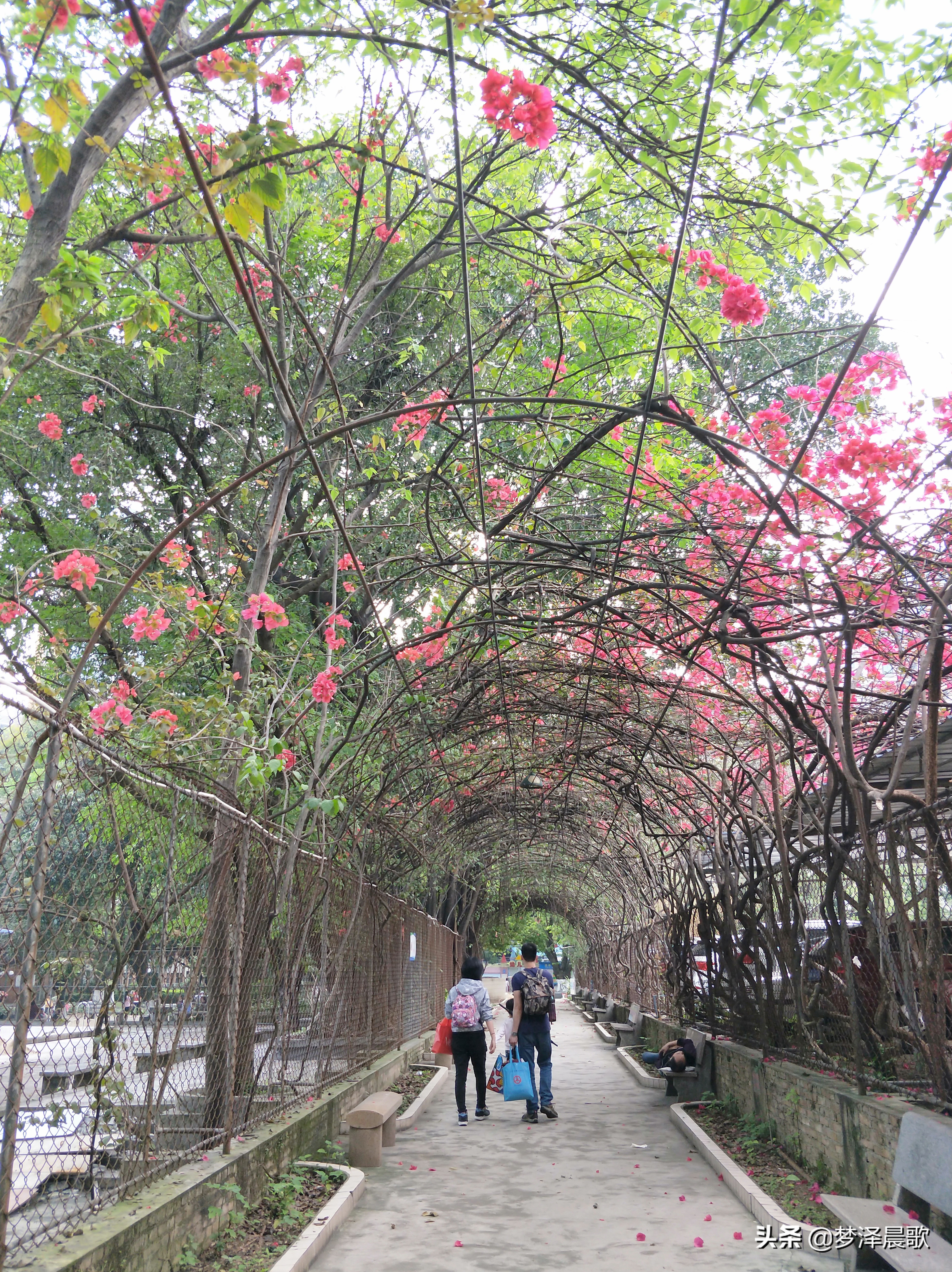 一流高职院校广东轻工职业技术学院