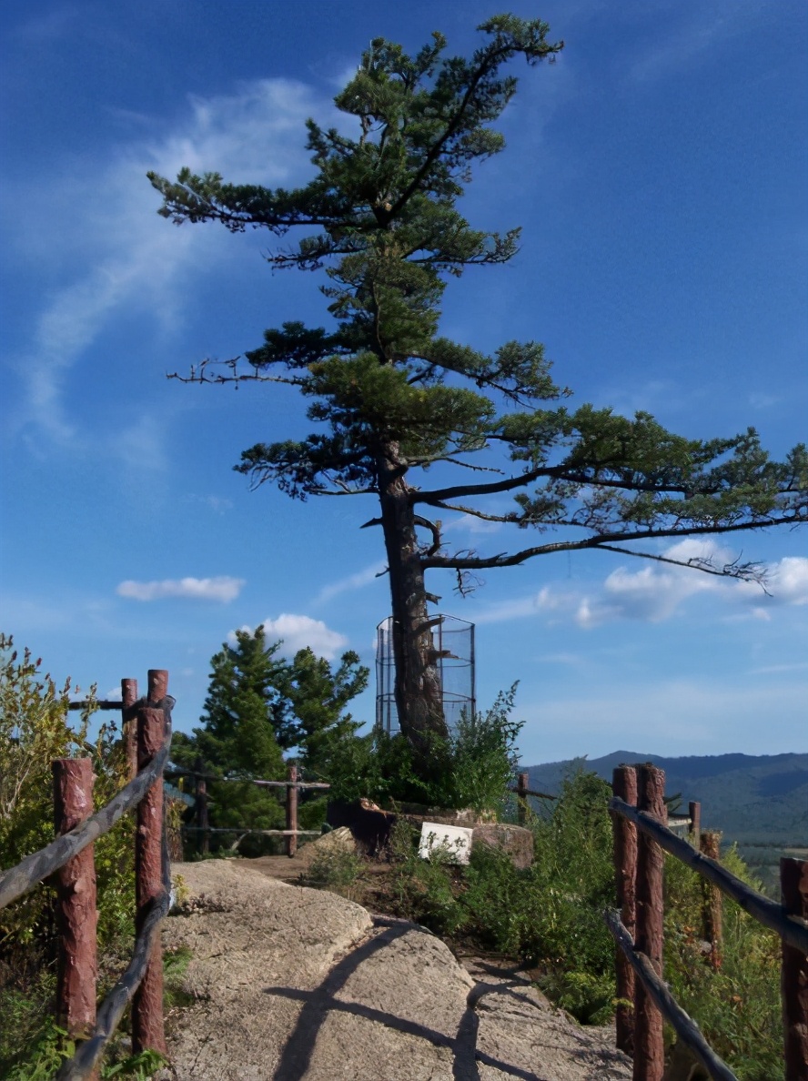 伊春冬季旅游景点大全(黑龙江省伊春) - 悦闻天下