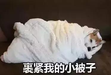 南京大洋百货童装品牌入驻全市20家商场，覆盖主流亲子购物场所