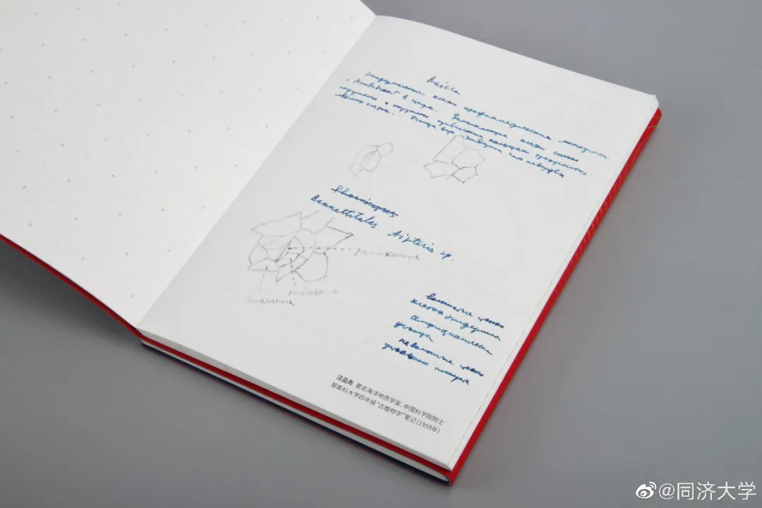 那些“神仙”大学录取通知书