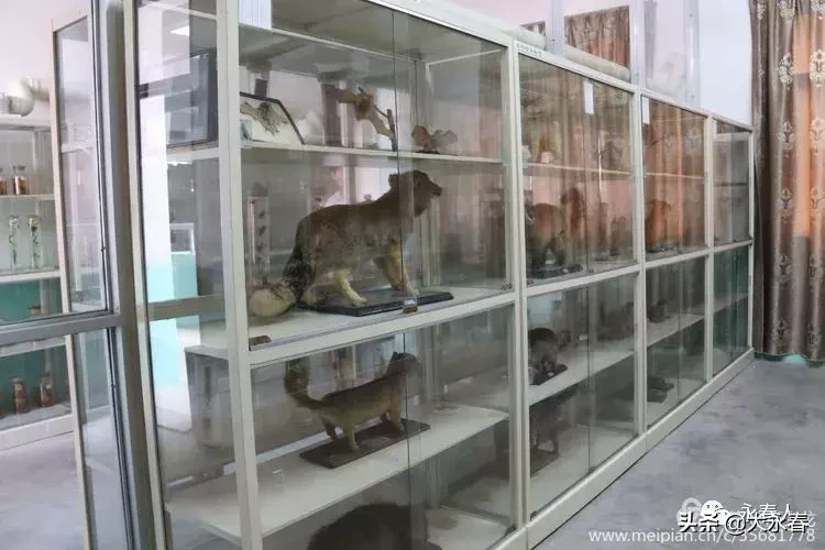 美哉！我们的永春三中