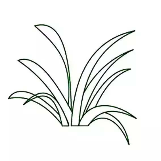 春草嫩如丝.春季是小草疯长的季节,我们一起来画画可爱的小草吧!