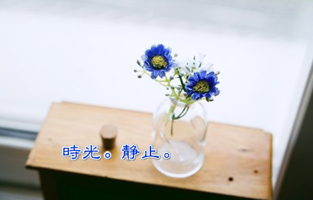 让生命展翅，飞向星辰与自由的远方