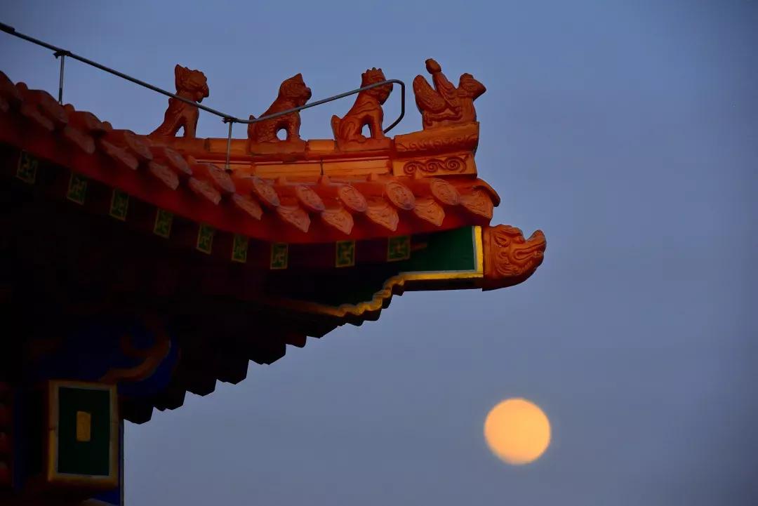 多少分能上天津中医药大学？