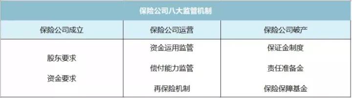 保险可以全额退款吗？