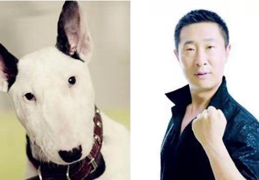 长得像林永健的狗