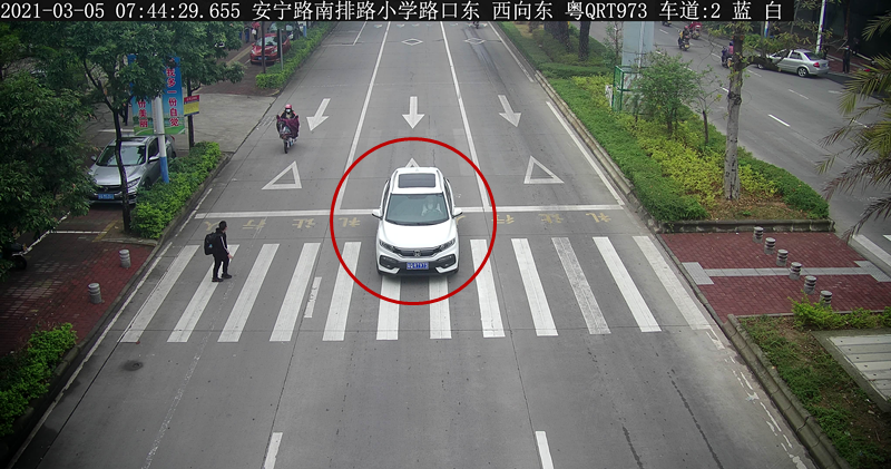 交通违法曝光！