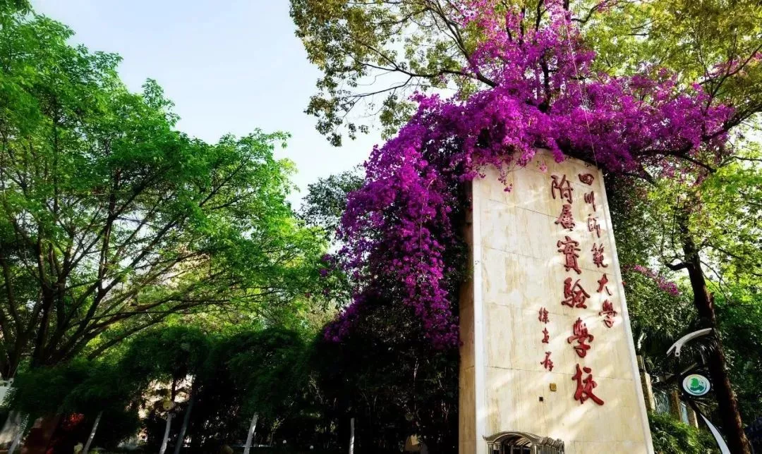 首次出现！成都私立学校开始划片招生！以后读私立也要买学区房啦