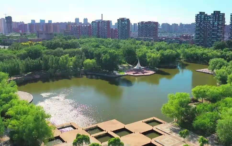 传奇！少将、院士、央视主持人，细数从沈阳理工大学走出的