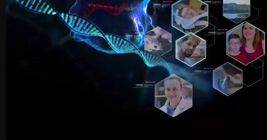 Netflix《物竞人选》：揭示基因编辑现状的第一部纪实片