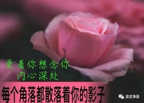 遇见你一见倾心，爱上你相见恨晚
