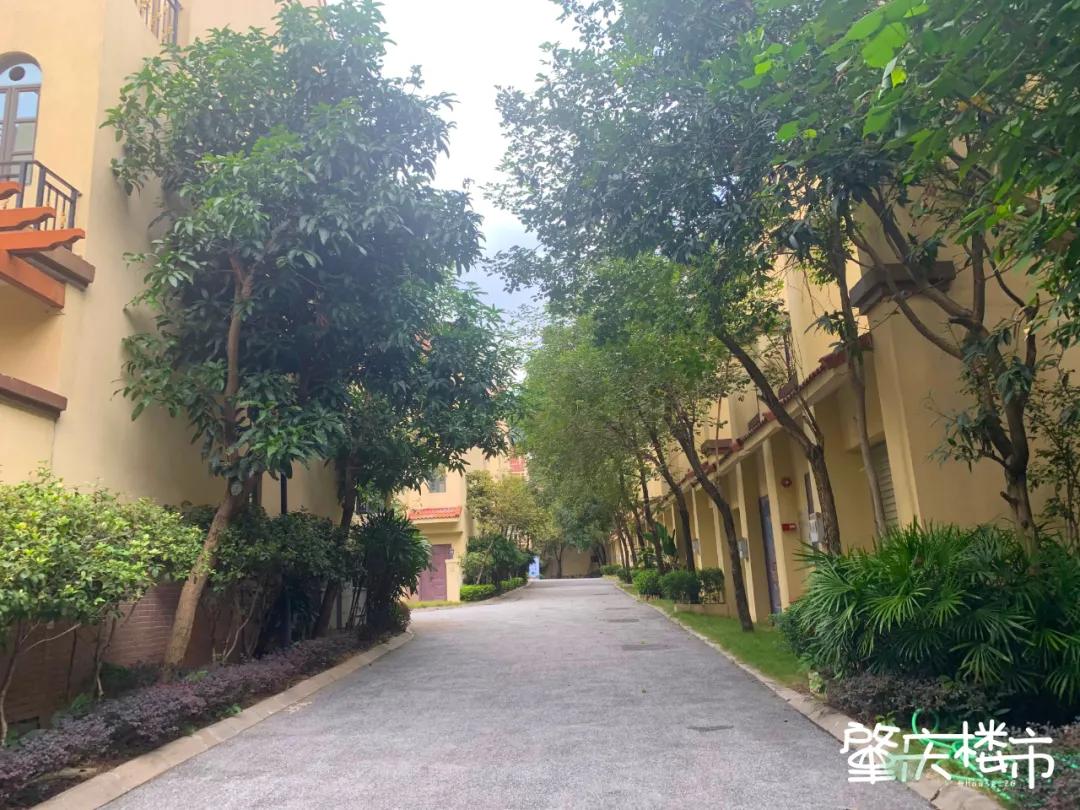 总价156万起！每年返租6%！肇庆这类别墅，能买不