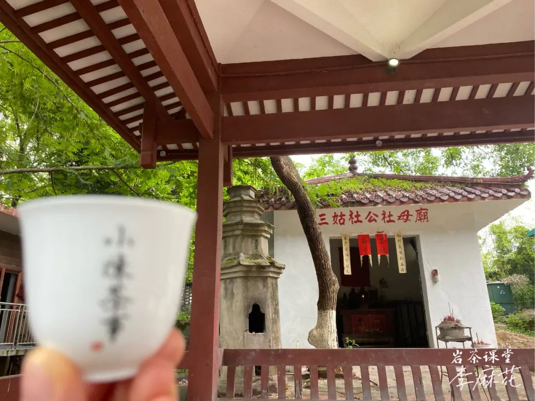 最好的肉桂是正岩肉桂吗？牛栏坑肉桂、马头岩肉桂，都是顶尖货？