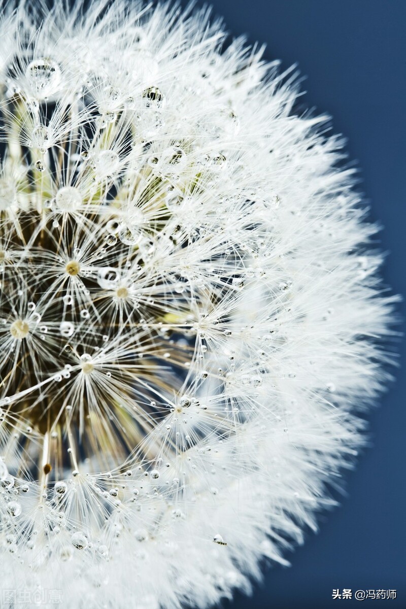 治疗气不摄血（气虚）的中成药