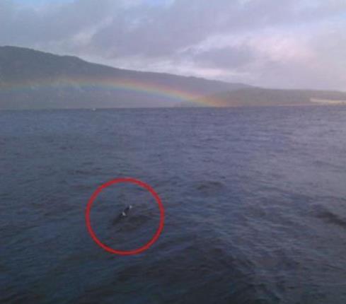 喀拉斯湖水怪秘密：原因是大红鱼吗？