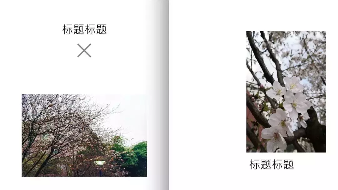 超美的！贵大专属PPT模板来了，陪你走过春夏秋冬！