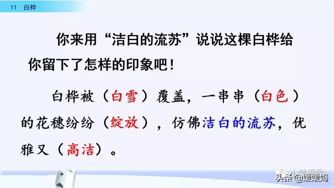 白桦树电影剧情「分析」 _晶羽科技