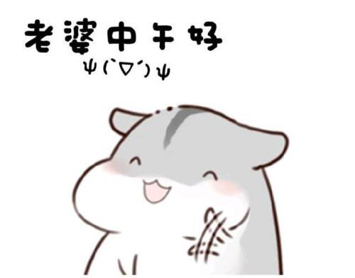 仓鼠撩老婆表情包