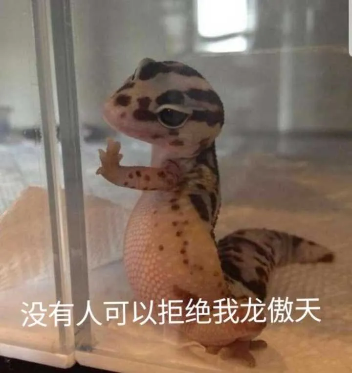 克里斯汀·斯图尔特 出轨出柜又劈腿,她还被叫女神?