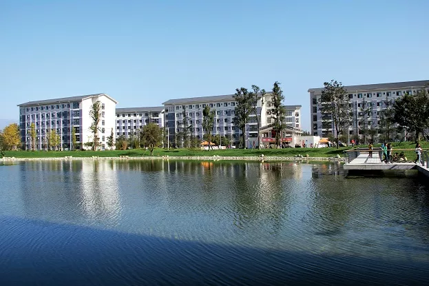 四川单招“文化艺术”大类相关专业及院校推荐