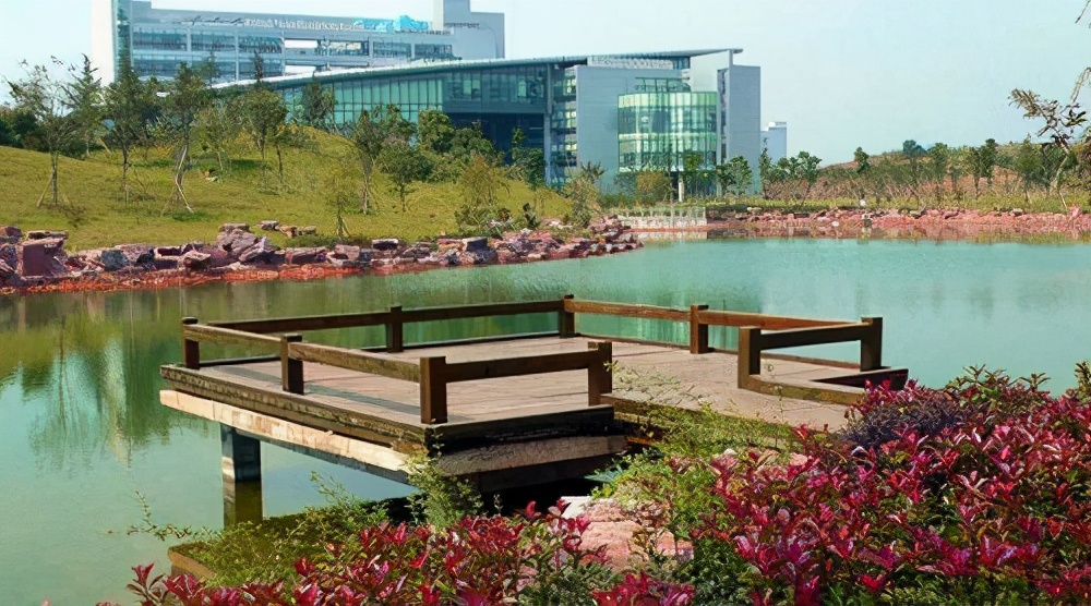 浙江师范大学研究生招生专业目录「参考」