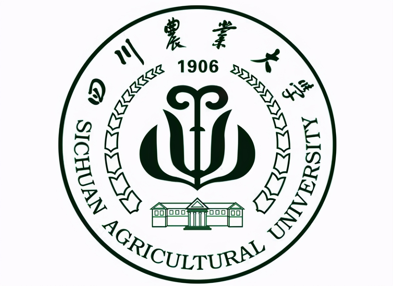 成都市都江堰市—高校信息