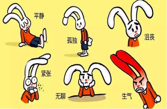 孩子调皮叛逆难管教？试试情感引导教育，不打不骂，孩子更愿意听