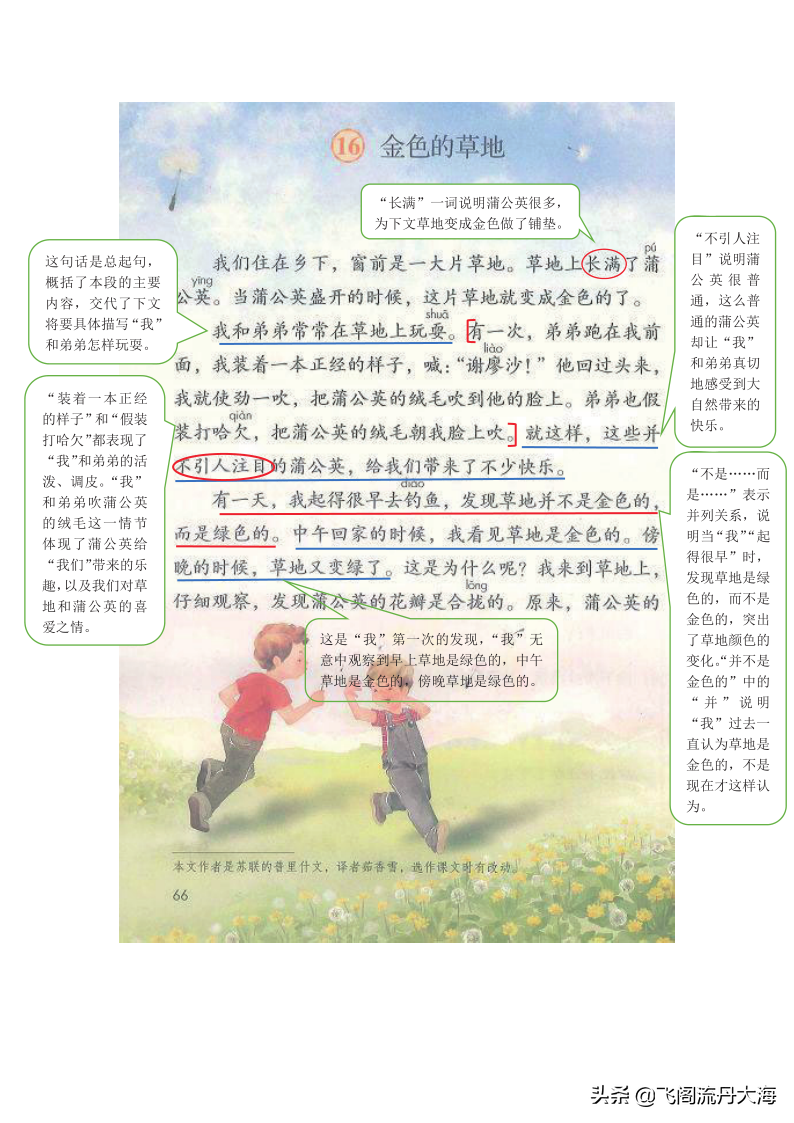 小学三年级上语文16课《金色的草地》课堂笔记、教案及练习题