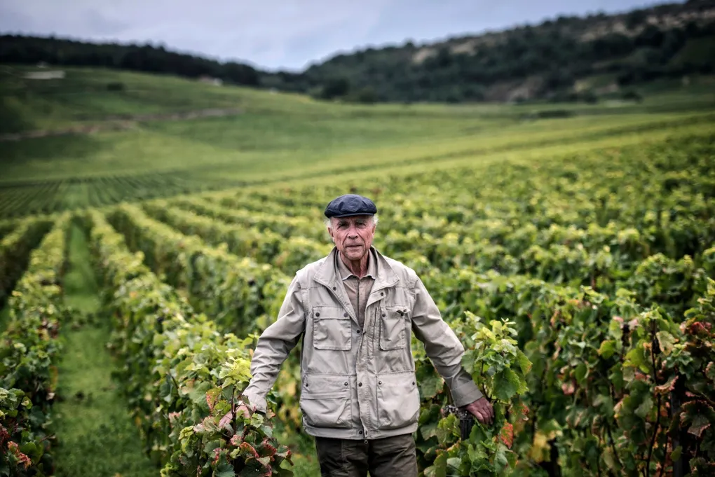 独家｜罗曼尼康帝庄主：葡萄酒变成奢侈品是很危险的事情