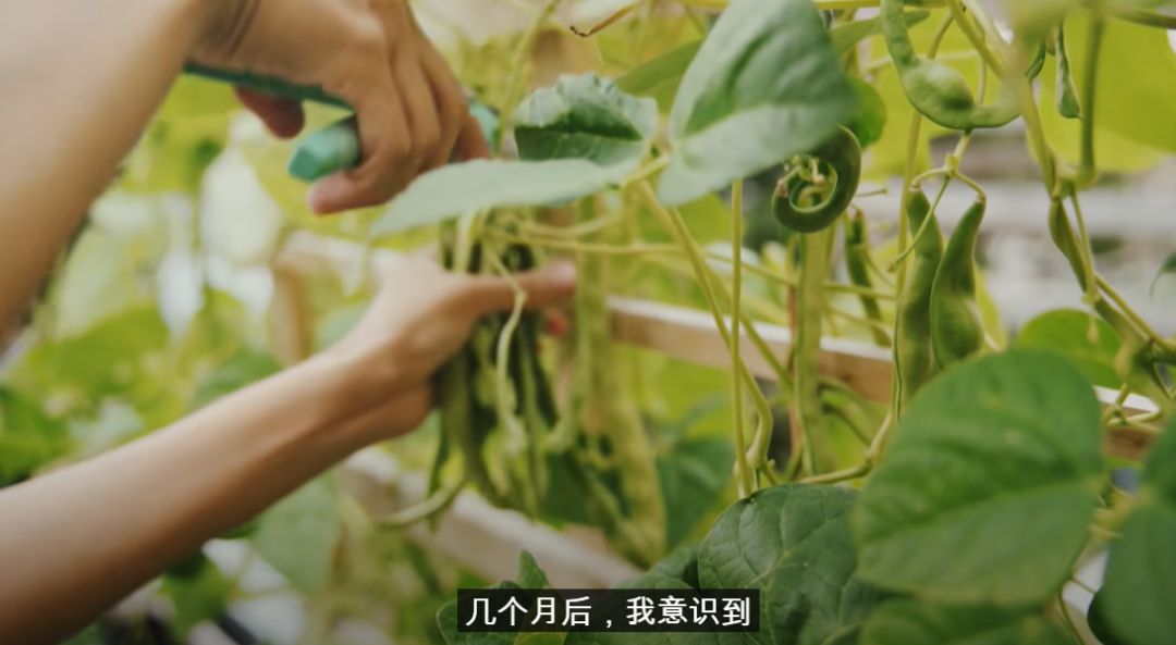 几万一平的阳台只用来晒衣服浪费不？你们问了100次的阳台改造