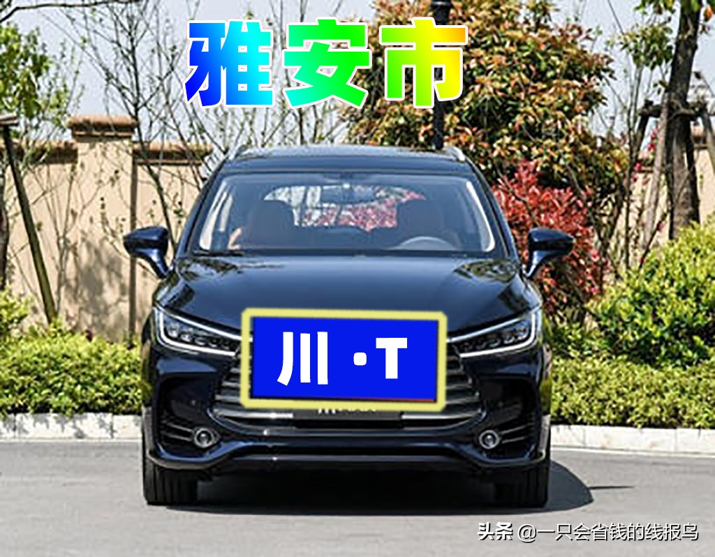 å››å·�çœ�æ±½è½¦ç‰Œç…§å&shy;—æ¯�æ�’åº�