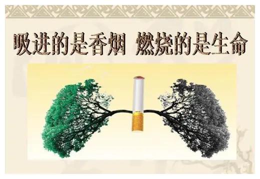 中国什么烟排名第一（中国烟草7个世界第一）