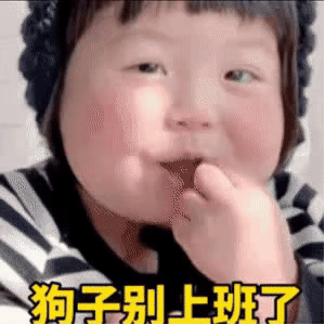 表情包：狗子别上班了，我养你呀