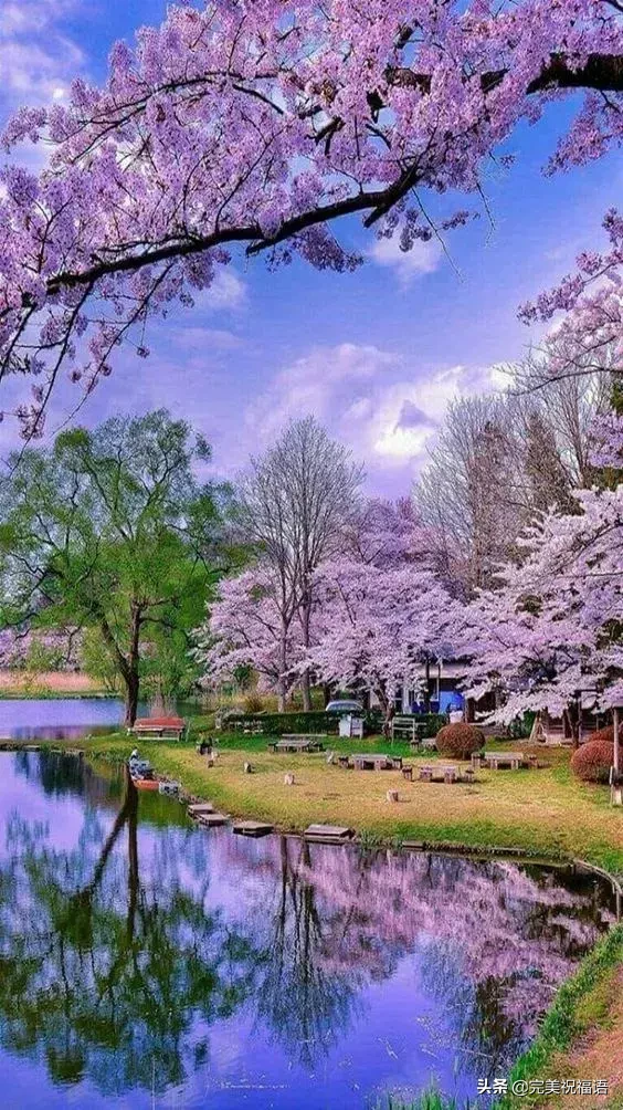 关于尽收眼底的说说配图「文案」 _qq说说网