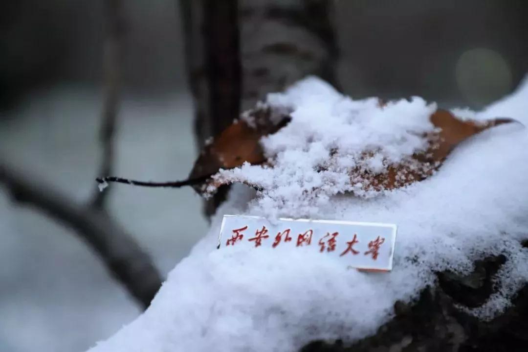 西安外国语大学，是由什么做成的？