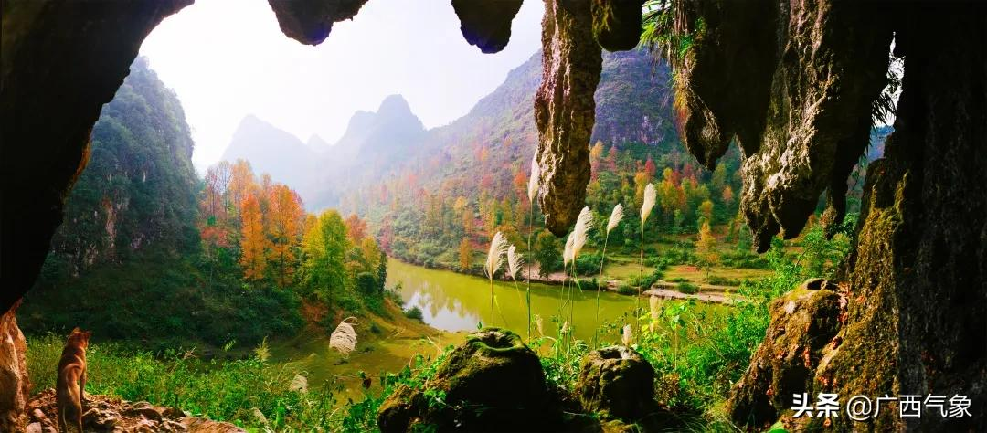 又美又涼快 德保是什么神仙地方
