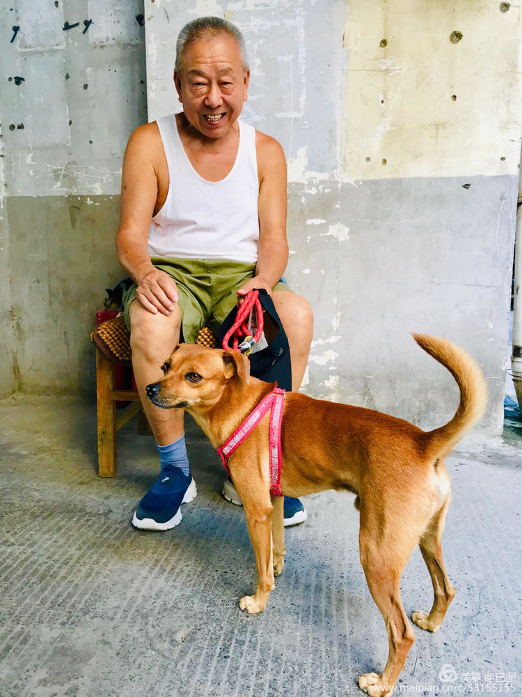 10月7日重阳节，十几首诗词100幅照片，致敬天下老年人