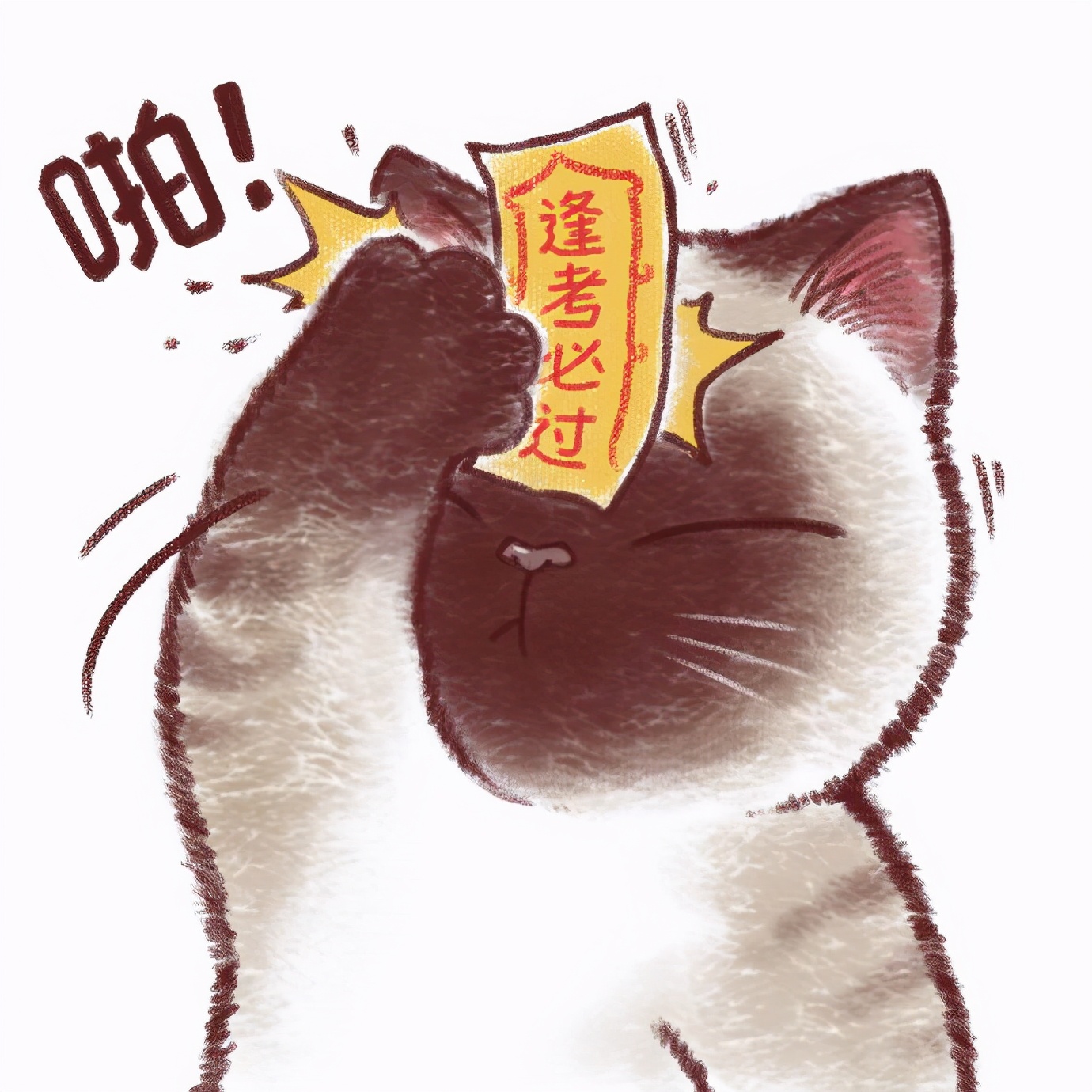 大家逢考必过的,所以就有这只可爱的不知道怎么形容的小猫咪先拍为敬