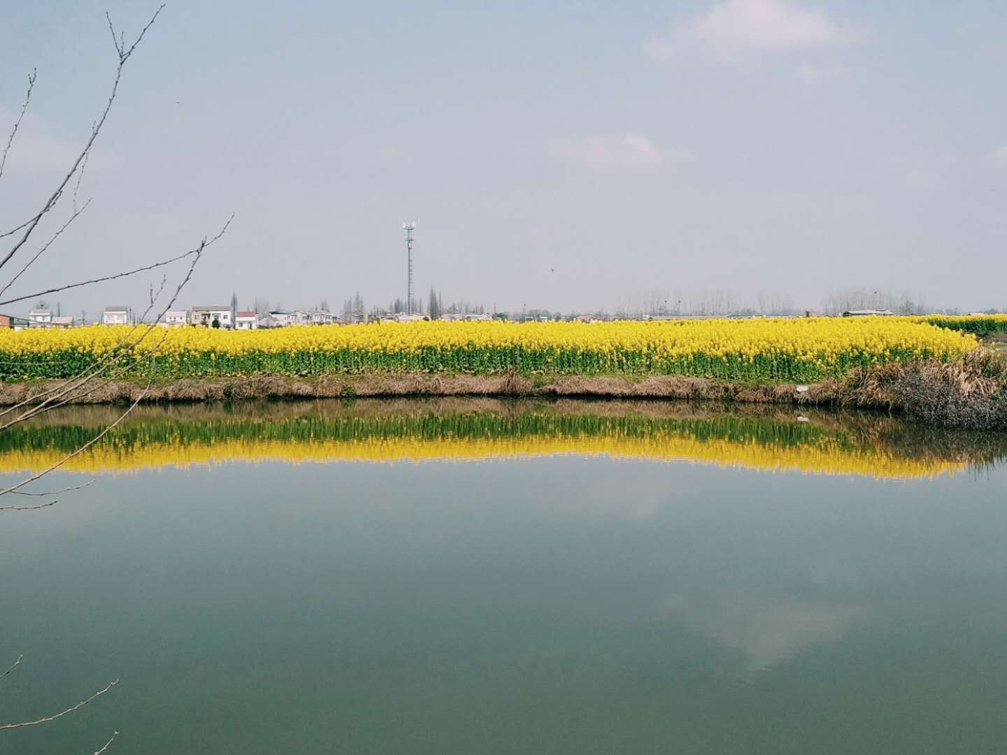 点一只蜡烛致敬英雄，送一朵白菊追思亲人，外公我想你了