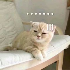 微信也能压缩文件？教你轻松打包发送